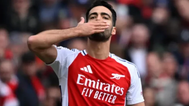 Merino