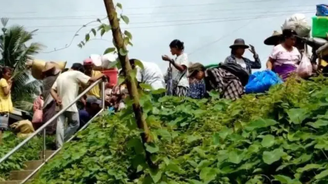 ကြောင်လျှာဒေသမှာဖြစ်တဲ့တိုက်ပွဲတွေကြောင့် ပုသိမ်မြို့ပေါ်အထိ စစ်ရှောင်ဖို့ပြင်နေကြတဲ့ဒေသခံတွေလို့ဆိုပြီး မြေပြင်သတင်းတွေကို ဖော်ပြနေတဲ့ ပုသိမ်အထူး သတင်းအဖွဲ့ လူမှုကွန်ရက်က ဓာတ်ပုံဖြစ်ပါတယ်။ ကုန်းမြင့်တစ်ခုအပေါ်မှာ အမျိုးသမီး အမျိုးသားနဲ့ ကလေးတွေ အထုပ်အပိုးတွေ ထမ်းတာတာမြင်ရပြီး ကုန်းမြင့်မြေသားအခြေမှာတော့ အစိမ်းရောင်အပင်တွေကို မြင်ရ၊ ရာသီဉတုမကောင်းတဲ့အသွင်ဆောင်နေ 
