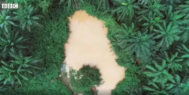 Mmiri nọ n'etiti ọhịa