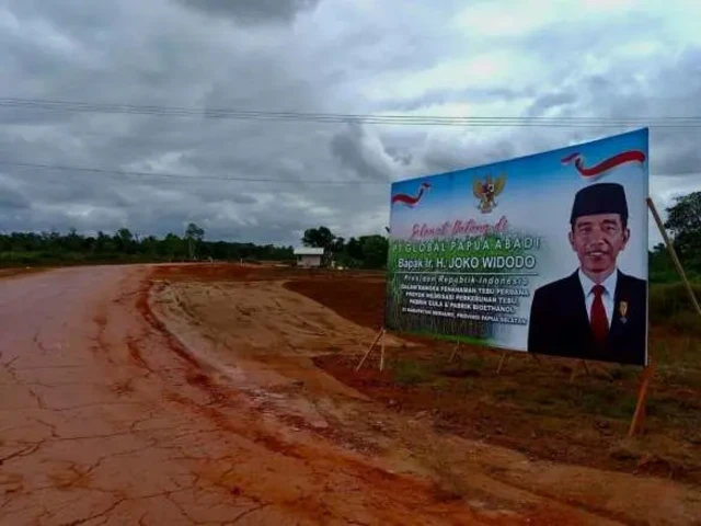 PSN food estate lumbung pangan Merauke Papua