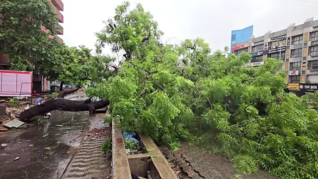  અમદાવાદ શહેરમાં છેલ્લા ત્રણ દિવસમાં સરેરાશ 10 ઇંચ વરસાદ પડ્યો છે 