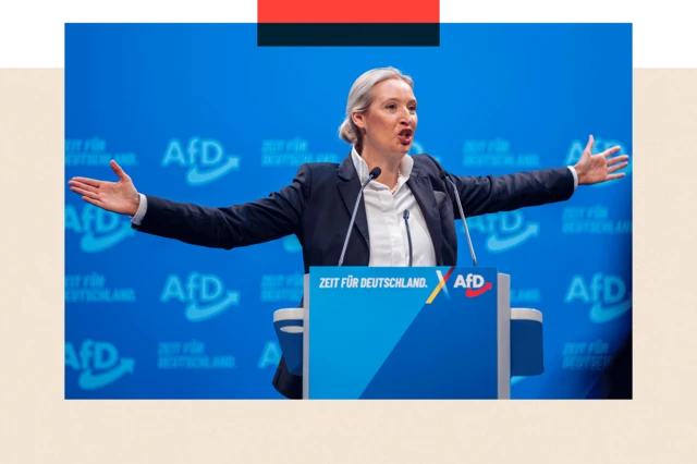 Pendukung AfD sering menolak label “sayap kanan”, termasuk pemimpin partai Alice Weidel, yang menggambarkan partai tersebut sebagai gerakan konservatif dan libertarian.