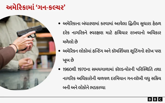 અમેરિકા, ગન કલ્ચર, યુનાઇટેડ સ્ટેટ્સ, અમેરિકા ચૂંટણી 2024, અમેરિકામાં ભારતીયો, બીબીસી ગુજરાતી