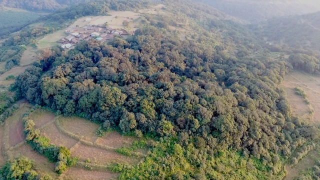 देवराईत दैवतांइतकाच लोकसहभाग अथवा समाज एकजीव झाला आहे.