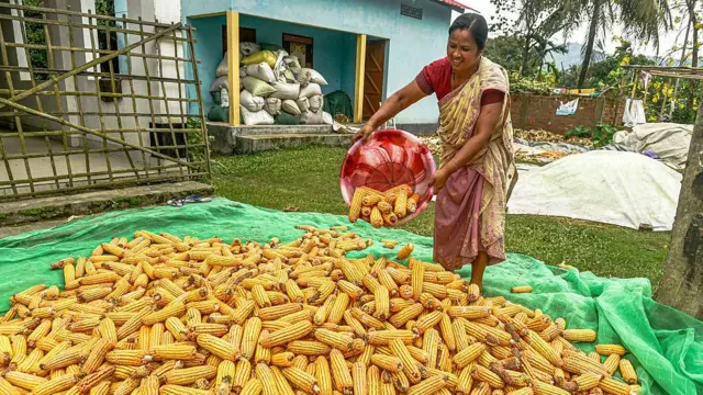 భారత్, అమెరికా, వాణిజ్యం, ట్రంప్, నరేంద్ర మోదీ, రైతులు, వ్యవసాయం