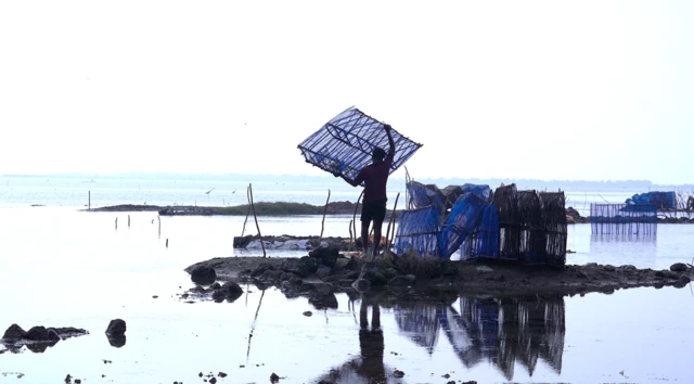 పులికాట్ సరస్సు