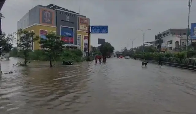 चंद्रपूर पाऊस