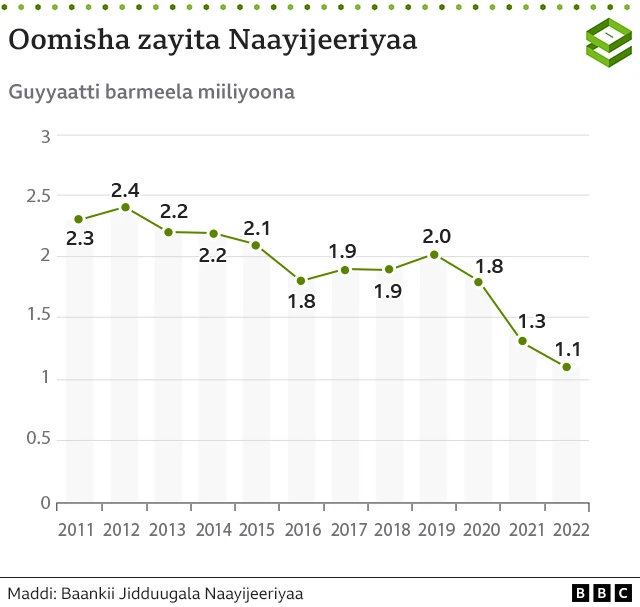 Omisha zayitaa Naayijeeriyaa