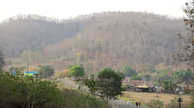 పోడు భూములు