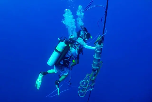 과학자들은 바다에 수중청음기를 설치해 향유고래가 내는 소리를 수집했다