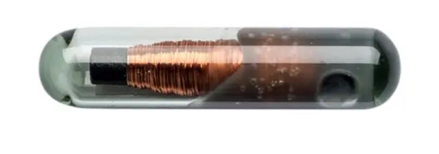 தெருநாய்கள் - மைக்ரோ சிப் டெண்டர் ரத்து