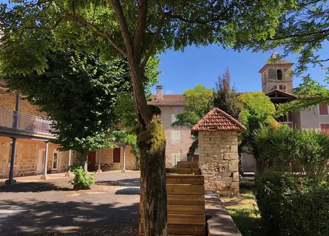 እቲ ቀጽሪ ኣብዚ ሕጂ እዋን