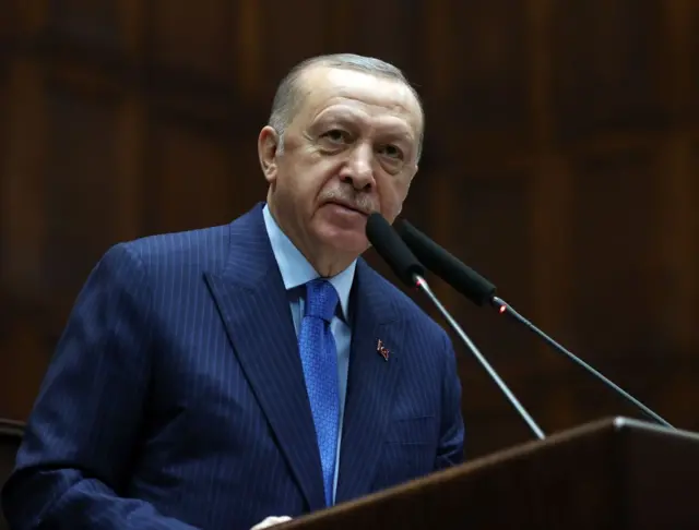 Cumhurbaşkanı Recep Tayyip Erdoğan