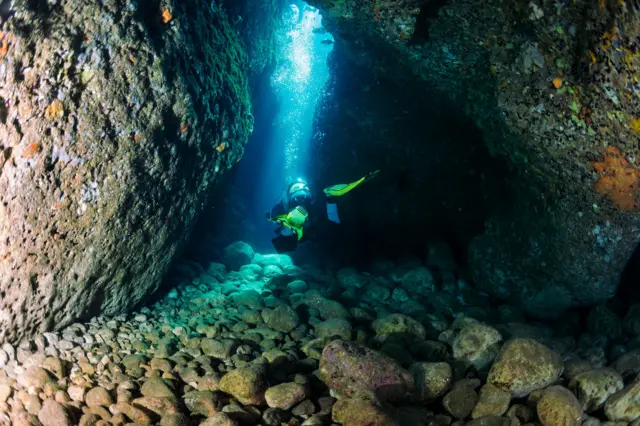 சுறாக்கள் ஒன்றுகூடும் கடலடி மலைகளுக்கு இழுவை மீன் பிடிப்பால் என்ன ஆபத்து?