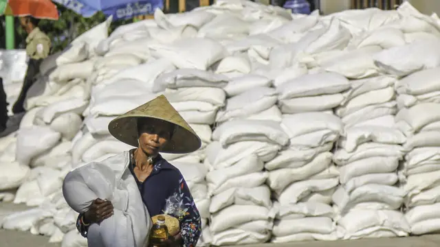 Myanmar Rice