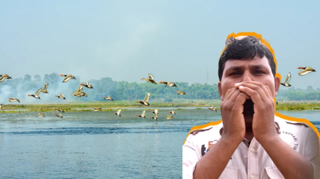 સુમેધ વાઘમારે