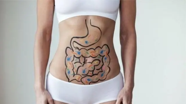 ਪੇਟ ਦੀ ਸਿਹਤ 