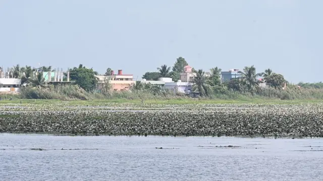 గుర్రపు డెక్క, ఇతర వ్యర్ధాలతో కొల్లేరు