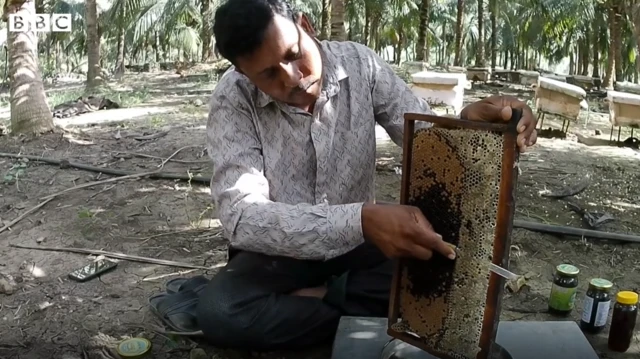 જગદીશભાઈ ભીલ