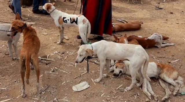 le marché de Dawaki