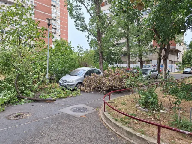 Grane su se obrušile na parkirana vozila