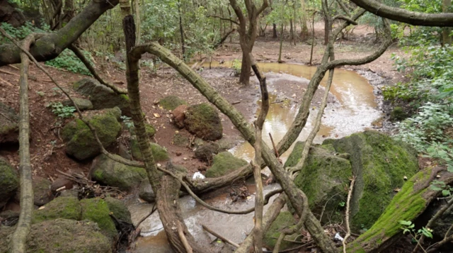 మూసీ నది