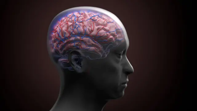 العلماء يبحثون ما إذا كان الزهايمر له علاقة بالميكروبات التي تتسلل إلى الدماغ