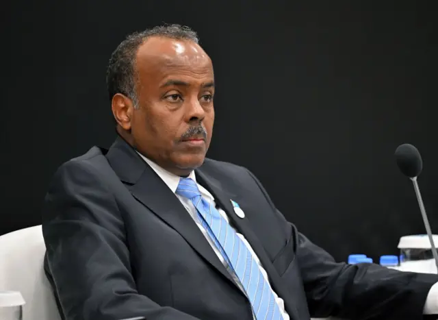 Ali Mohamed Omar, Ministre des affaires étrangères de l'État de Somalie