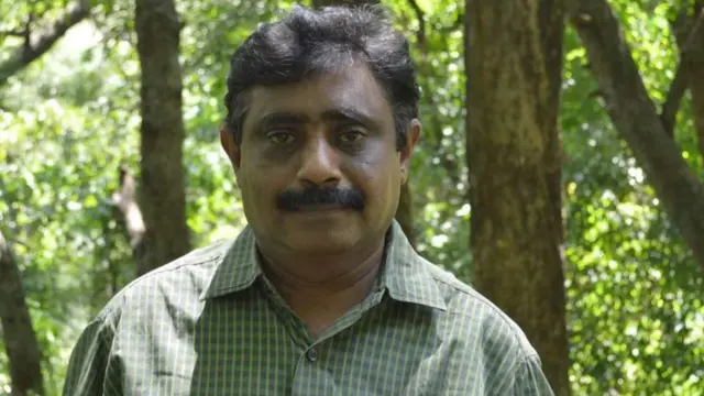 வரையாடு, தமிழ்நாடு, கேரளா, மேற்குத்தொடர்ச்சி மலை, வன விலங்குகள், காடுகள் 