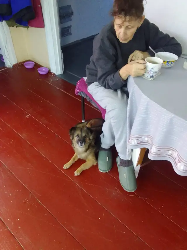 Жінка сидить за столом. Біля її ніг - пес 