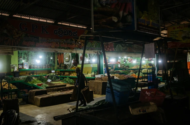 శ్రీలంక, విద్యుత్ సరఫరా అంతరాయం, పవర్ గ్రిడ్