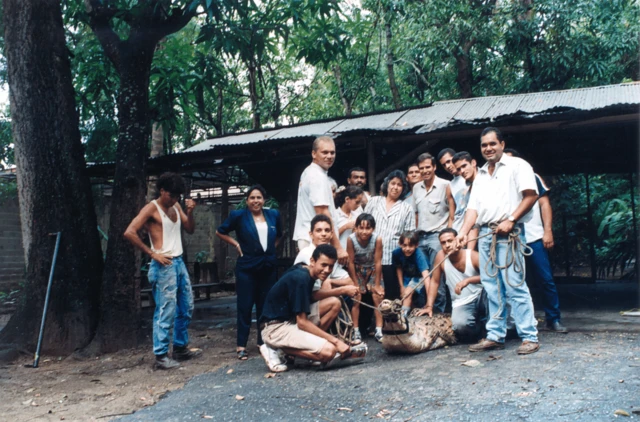 Momentos previos del traslado de Juancho a los llanos venezolanos.