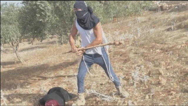 Teshilgan kokraklar bdsm