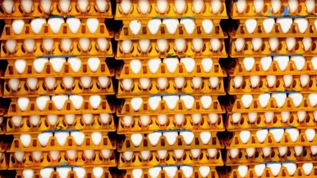 కోడిగుడ్లు