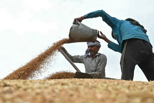 ਸੰਕੇਤਕ ਤਸਵੀਰ