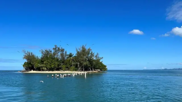 Isla Ratones, Cabo Rojo, Porto Rico