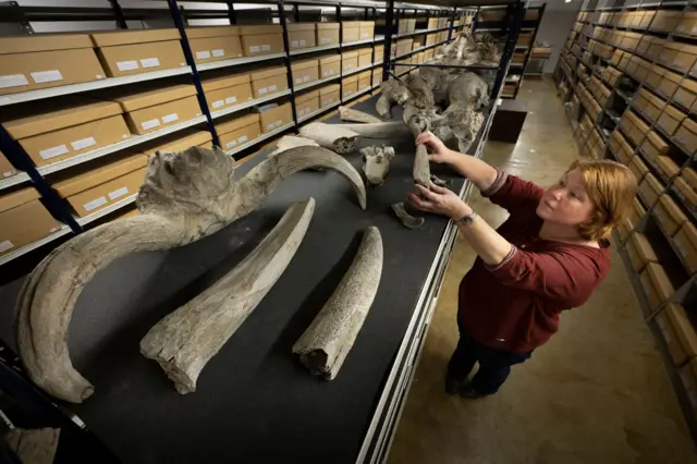 Manajer koleksi Natasja den Ouden di Koleksi Dubois 