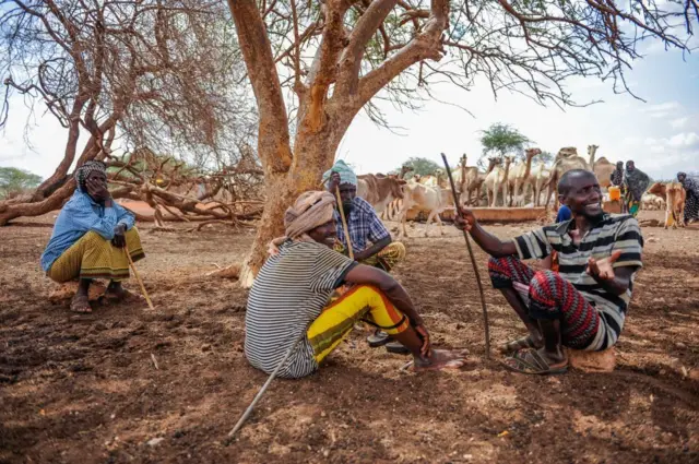 Buqqaatota Mandeeraa hongeedhaan dararaman, Mudde 02, 2022