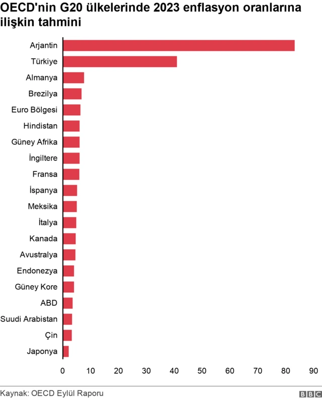 oecd türkiye enflasyon 