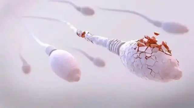 Khuburo ayaa baaritaan ku sameyay