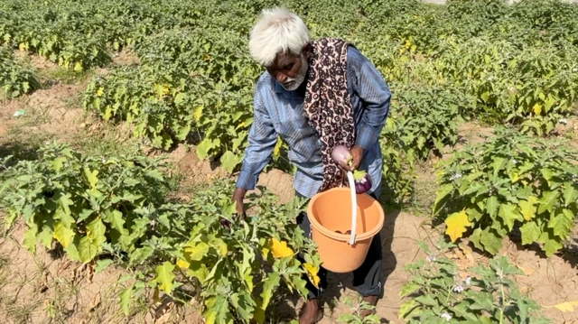 ભૂપતભાઈ પોતાના ખેતરમાં