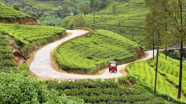 Growing up, a "music bread" tuk tuk would drive to the author's rural village in Sri Lanka twice a day, always playing Beethoven as it went