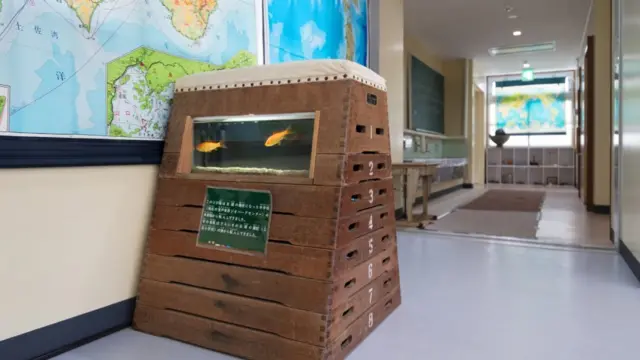 Sekolah di Jepang beralih fungsi menjadi akuarium