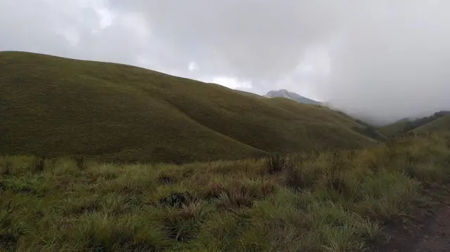 காட்டு வாழ்க்கை