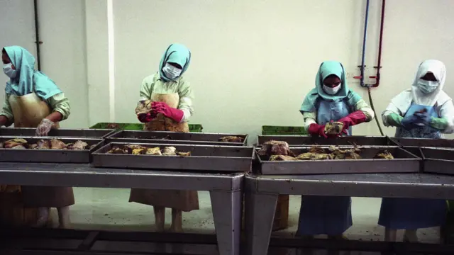 افزایش مشارکت اقتصادی زنان می‌تواند تولید ناخالص داخلی ایران را تا ۲۰ درصد افزایش دهد