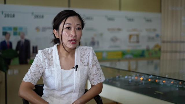 pantura, pantai utara jawa, tenggelam, PSN, KEK, industri