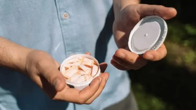 ځلېدونکي ډبي کې د نشه لرونکو نسوارو پوړۍ