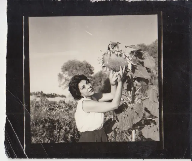 طوسی حائری
