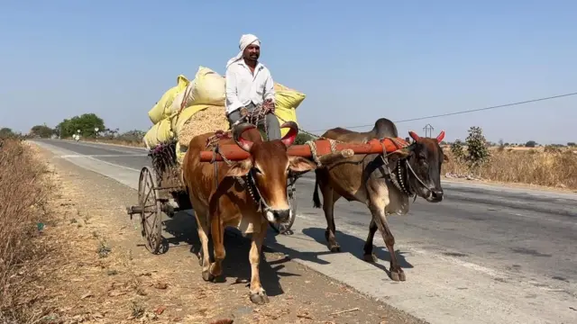 प्रातिनिधिक फोटो