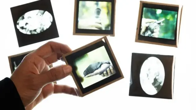 ஆஸ்திரேலியா, அருங்காட்சியக சேகரிப்பு